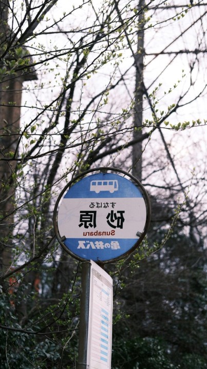 Sydney - Shanghai route